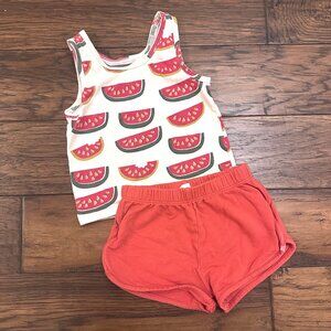 Coop Kids by Pink Chicken Watermelon Play Set